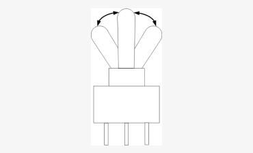 Pole, Throw, and Position